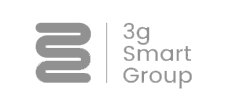 3g